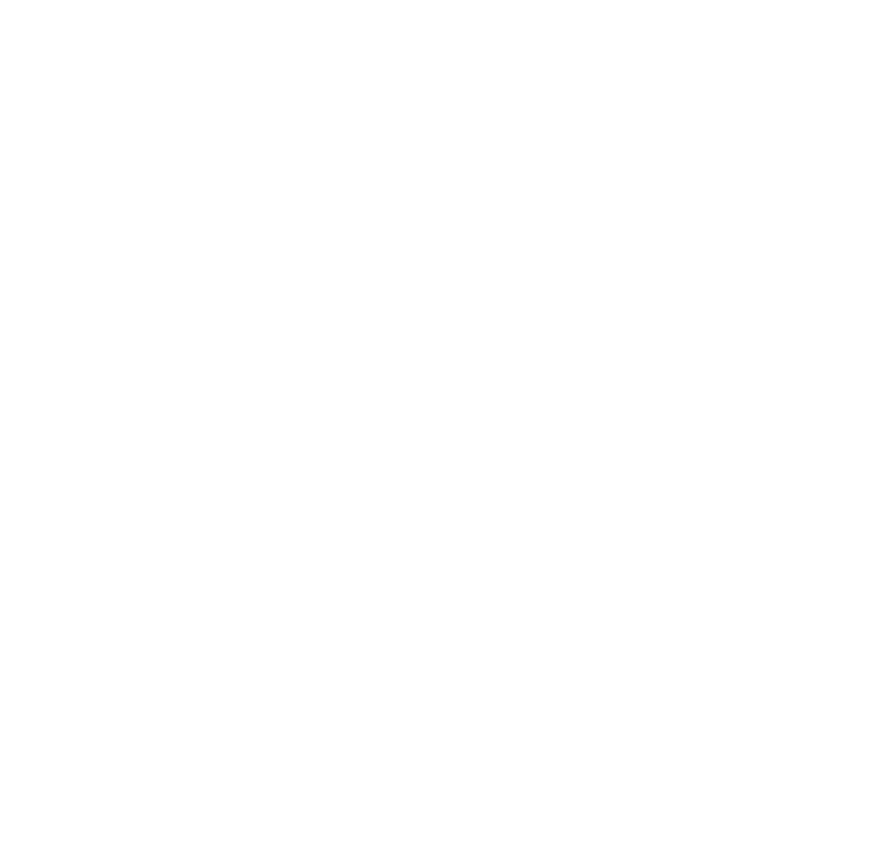 Colégios Vicentinos